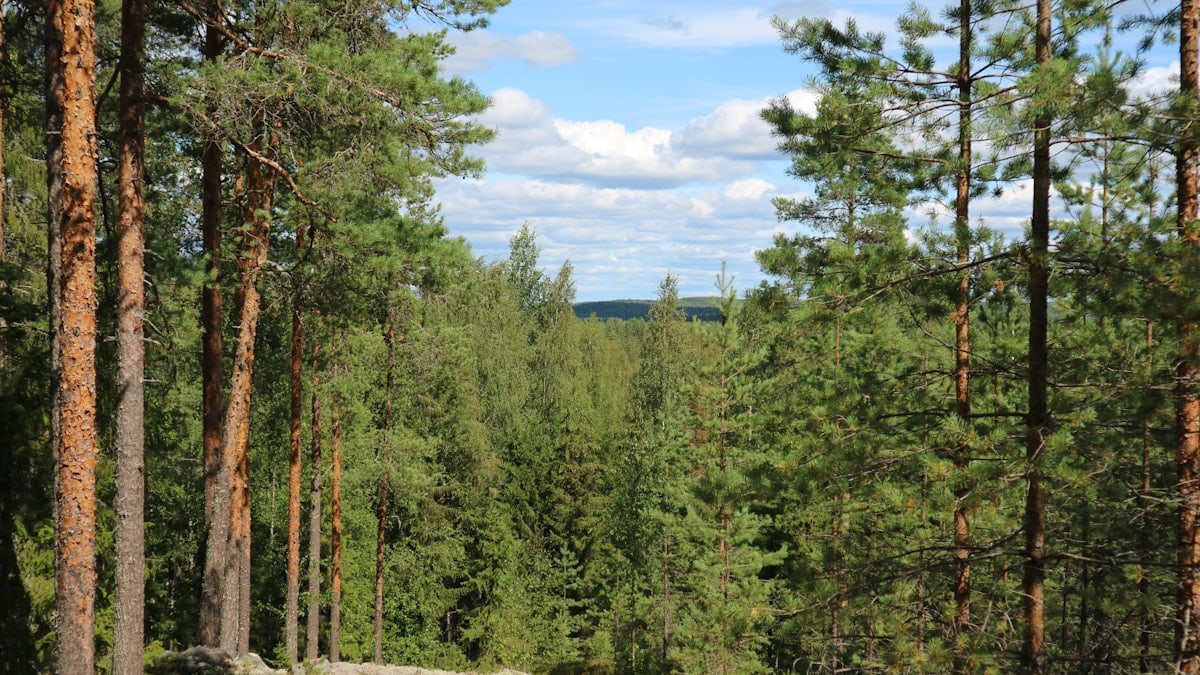 Kuidas alustada tervislikku eluviisi